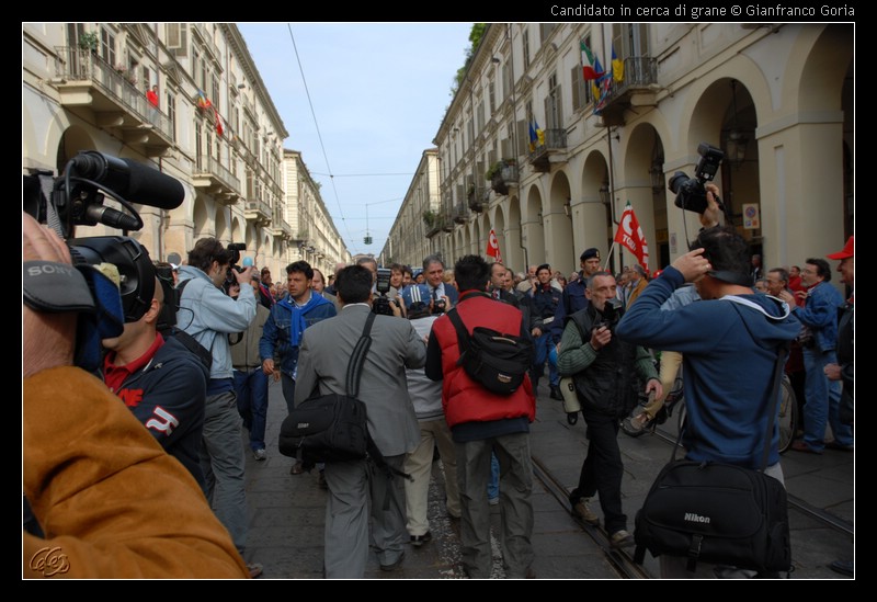 DSC_2598 Candidato in cerca di grane trova fotograti.JPG