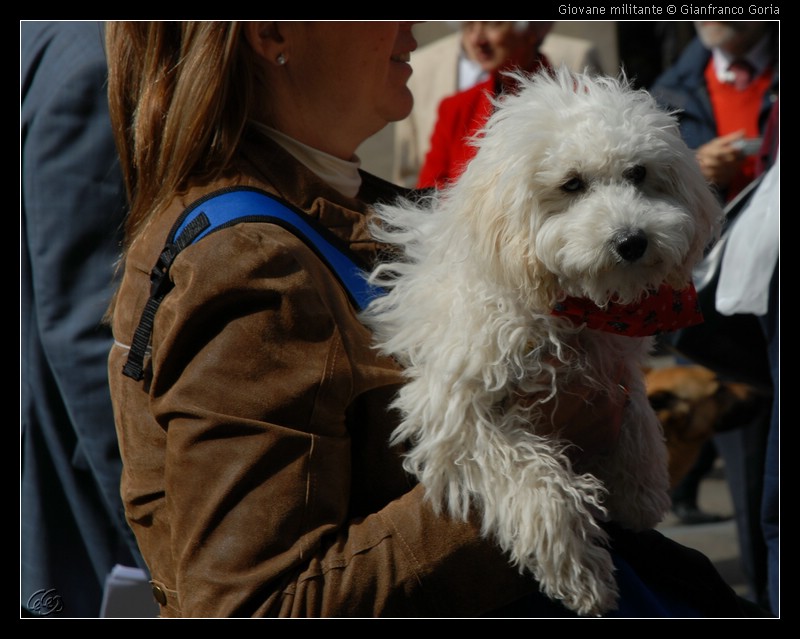 DSC_2714 Giovane militante.jpg